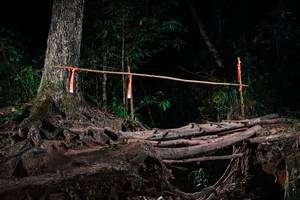 BIB: 
                            <button type="button" onclick="openModal(27427219)" class="btn btn-primary btn-sm float-right btn-popup" data-toggle="modal" data-target=".modal-high-quality">
                        <i class="fas fa-shopping-cart"></i> Add to Cart
                    </button>
                                            <button type="button" onclick="isThisMe(27427219, true)" class="btn btn-success btn-sm float-right btn-popup btn-isme hidden" data-toggle="tooltip" data-placement="bottom" title="นี่คือรูปของคุณใช่ไหม คลิกที่นี่เพื่อเอาเข้าอัลบั้ม">
                        <i class="fas fa-plus"></i> Add to album
                    </button>
                    <button type="button" onclick="isThisMe(27427219, false)" class="btn btn-warning btn-sm float-right btn-popup btn-isnotme hidden">
                        <i class="fas fa-ban"></i> Remove from album
                    </button>